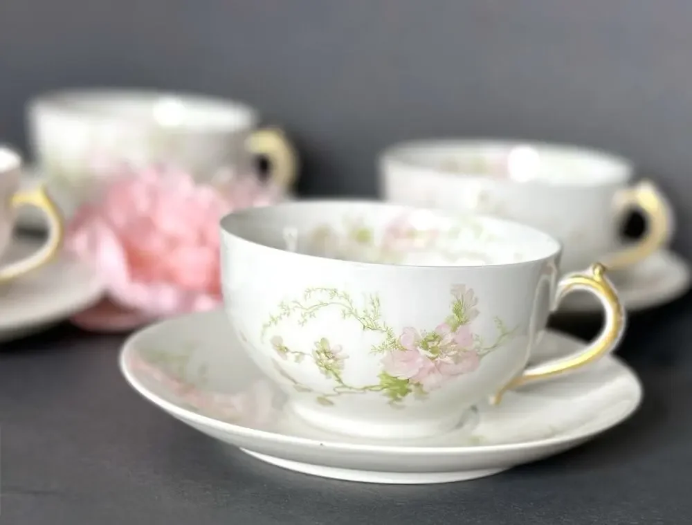 Charles Field Haviland Limoges France Pink Poppies Schleiger 377 Teacup & Saucer